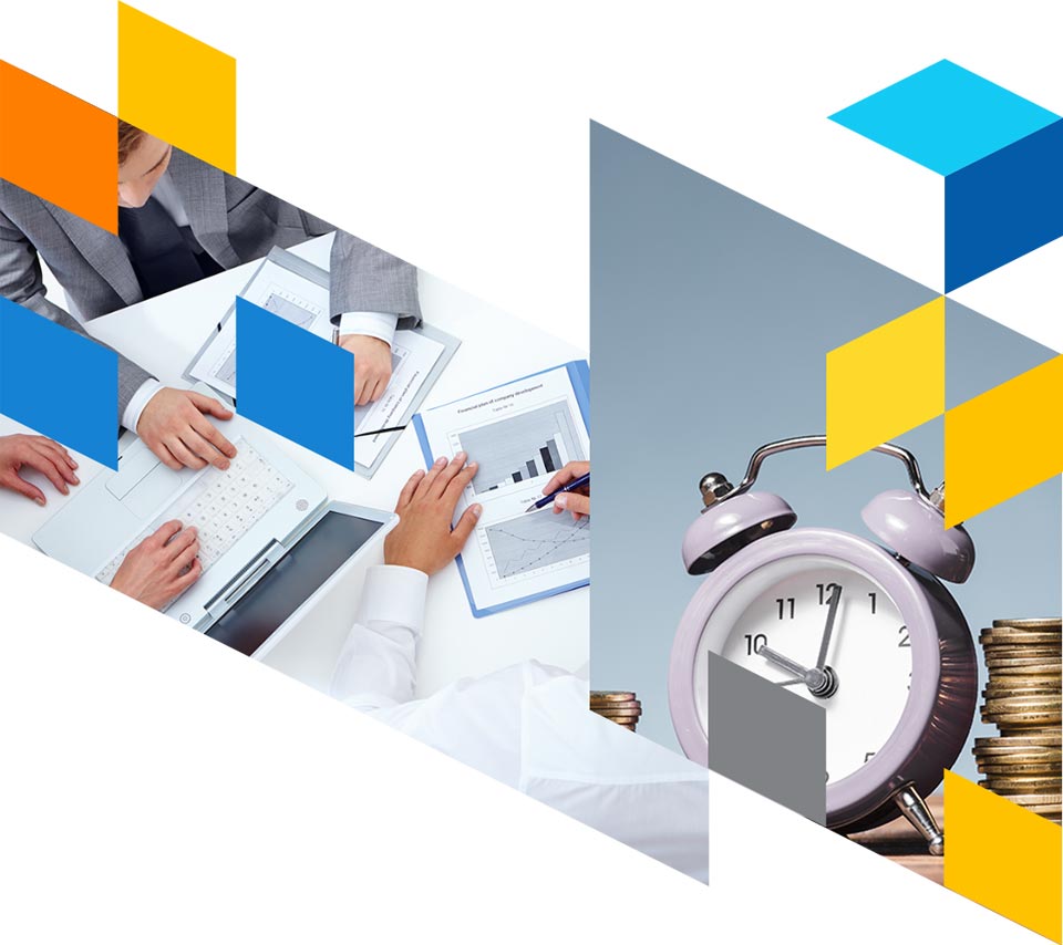 professional tax image